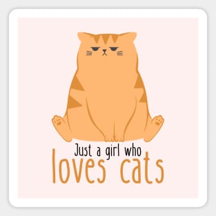 Just A Girl Who Loves Cats Funny Magnet